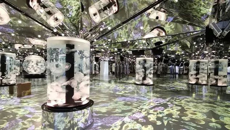臺(tái)灣 Xpark 水族館，全方位沉浸式暢快游樂(lè)體驗(yàn)