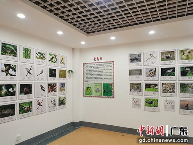 樂昌首家野生鳥類展覽館開放，設計建筑面積約170多平米