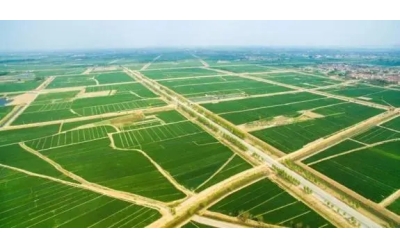 2021年利津縣鹽窩鎮(zhèn)0.7萬畝高標(biāo)準(zhǔn)農(nóng)田建設(shè)項目施工與監(jiān)理